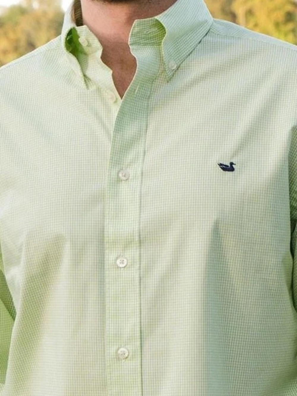 Gadwall Gingham Dress Shirt
